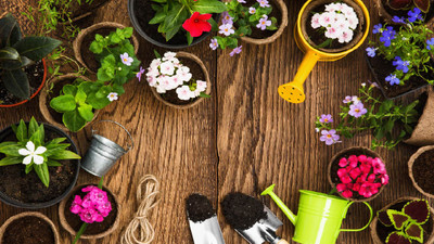 9 Best Gardening Tools for Seniors for Effortless Gardening